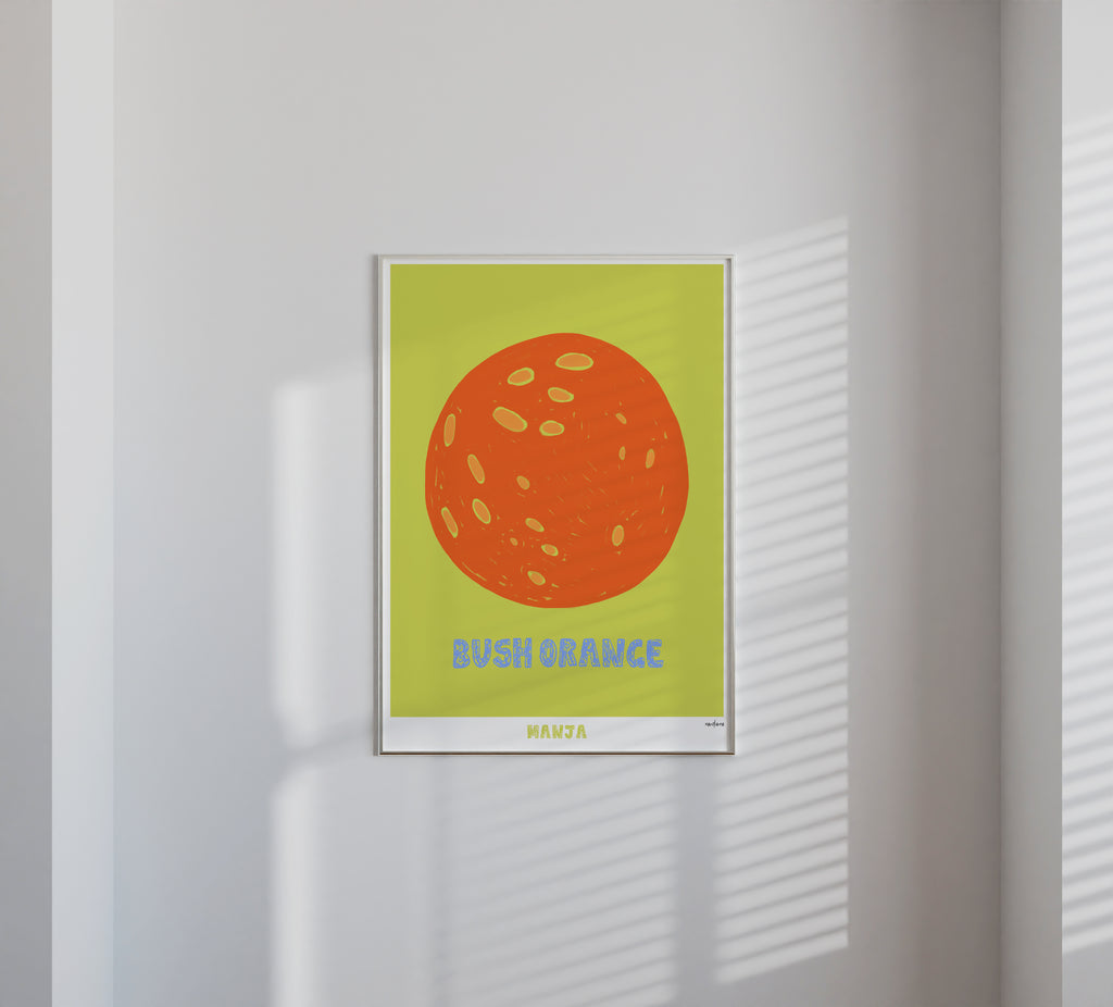 Bush Orange