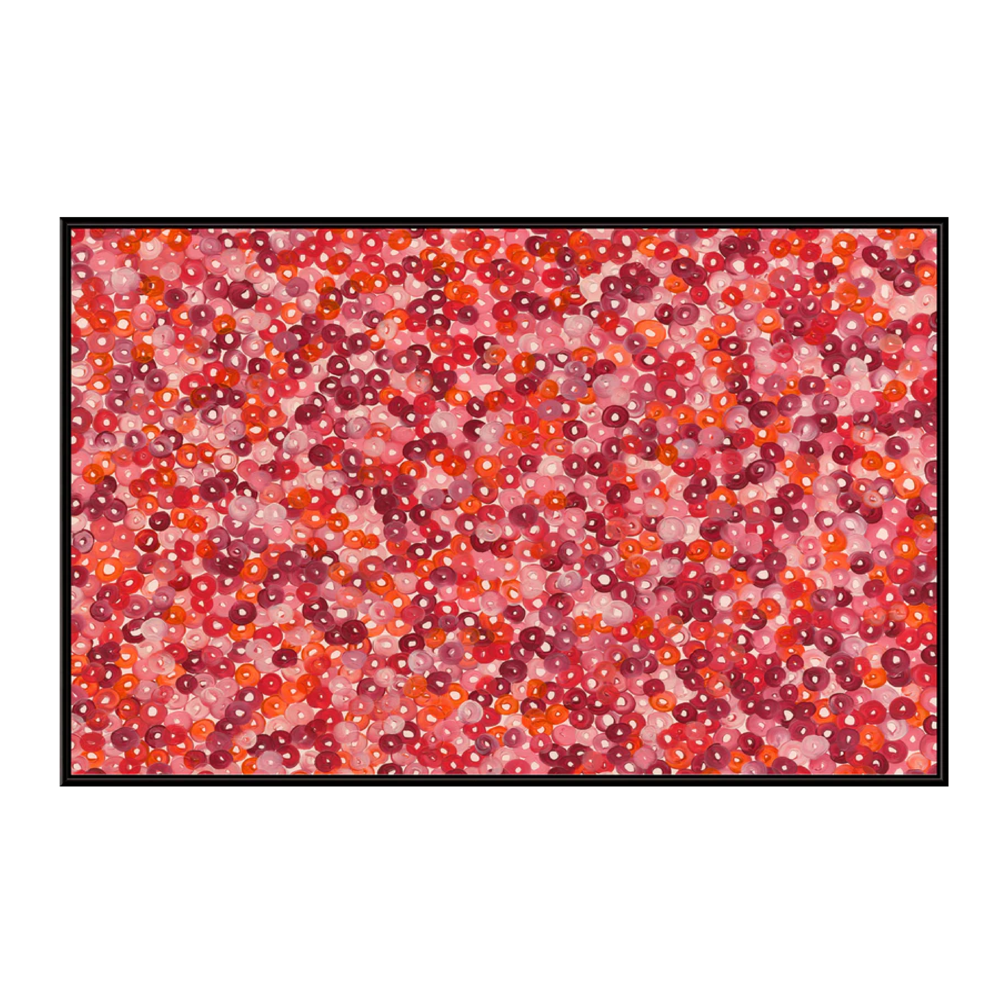 Bachelor Buttons II Art Print