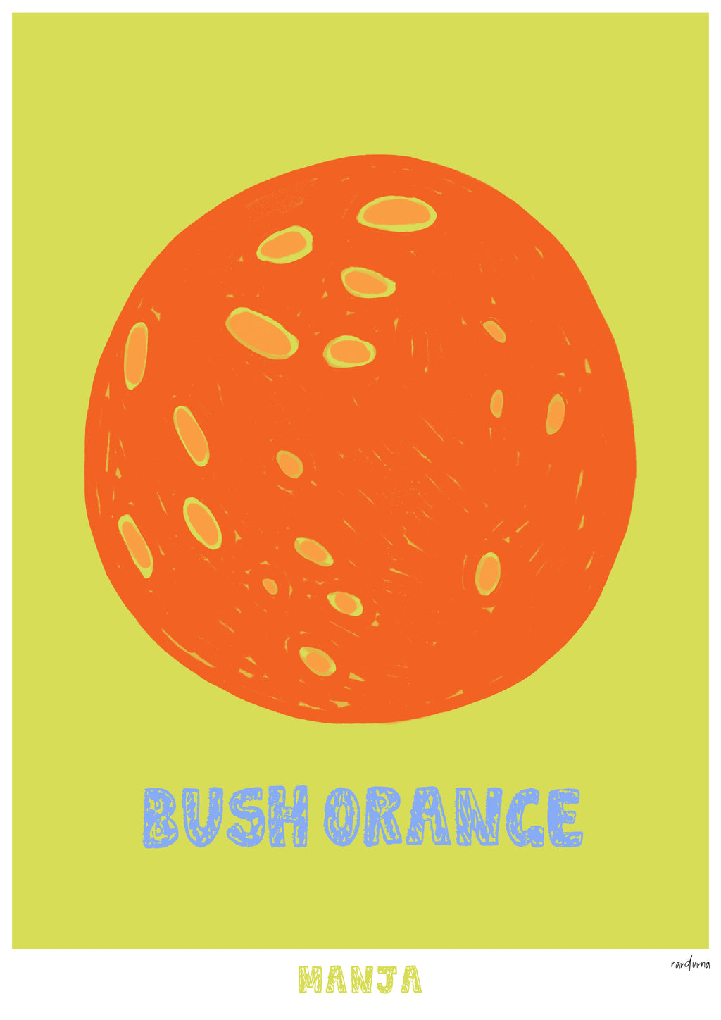 Bush Orange