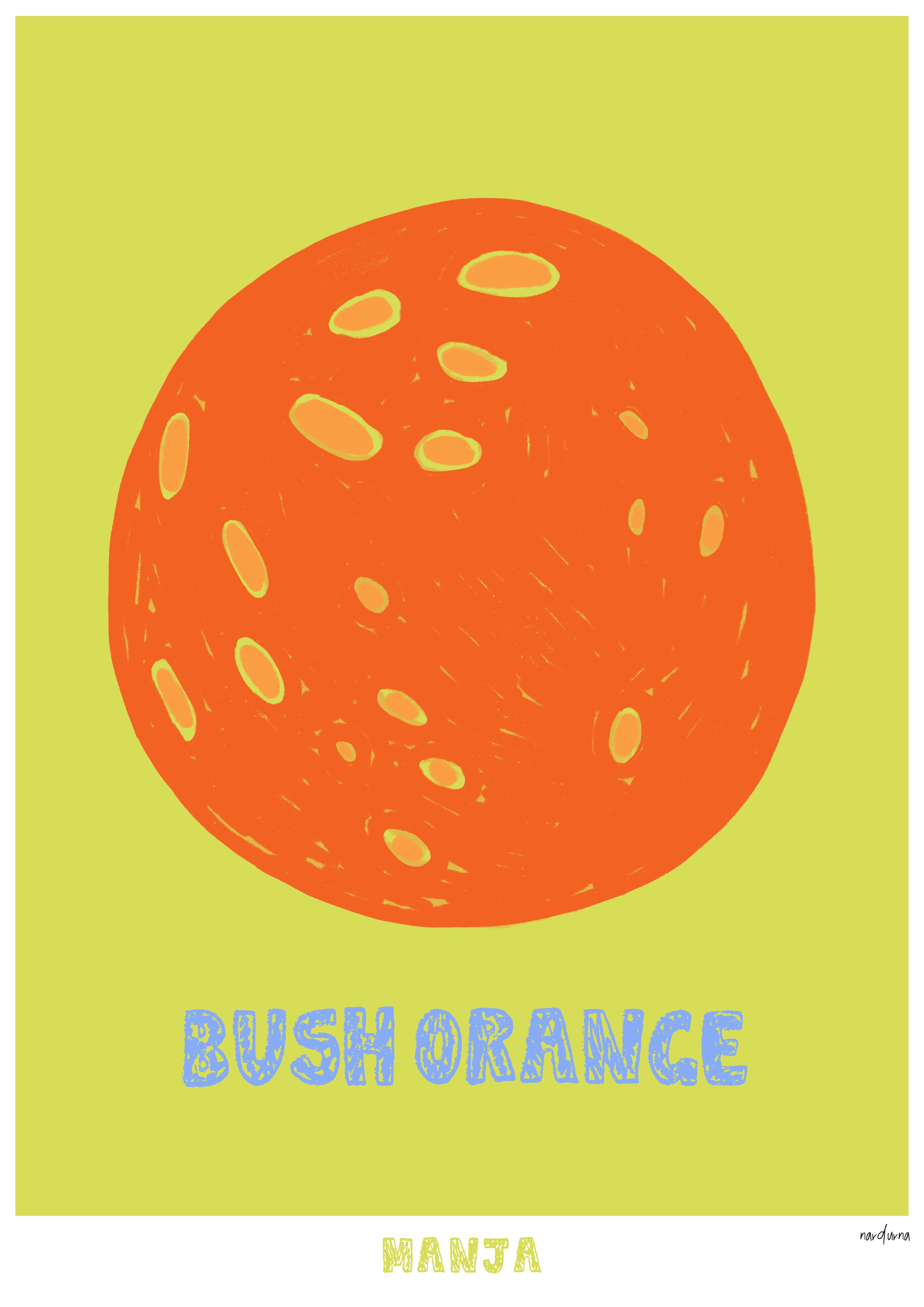Bush Orange