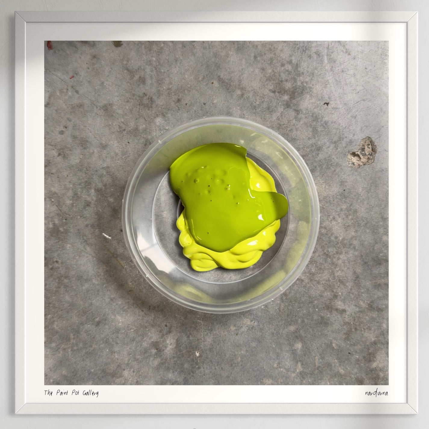 The Paint Pot Gallery - Dropped Billy Goat Plum