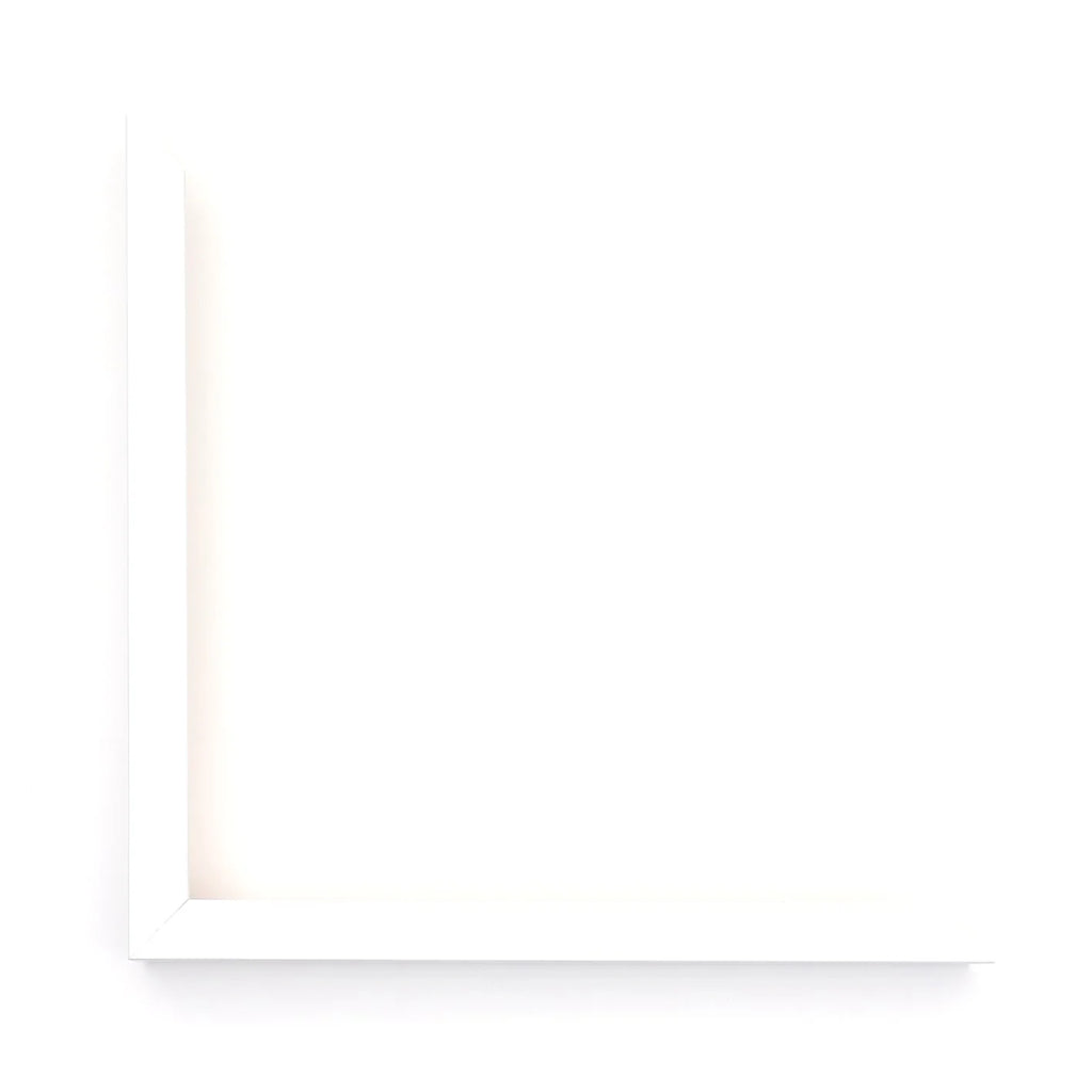 The Paint Pot Gallery - Fresh Bachelor Buttons