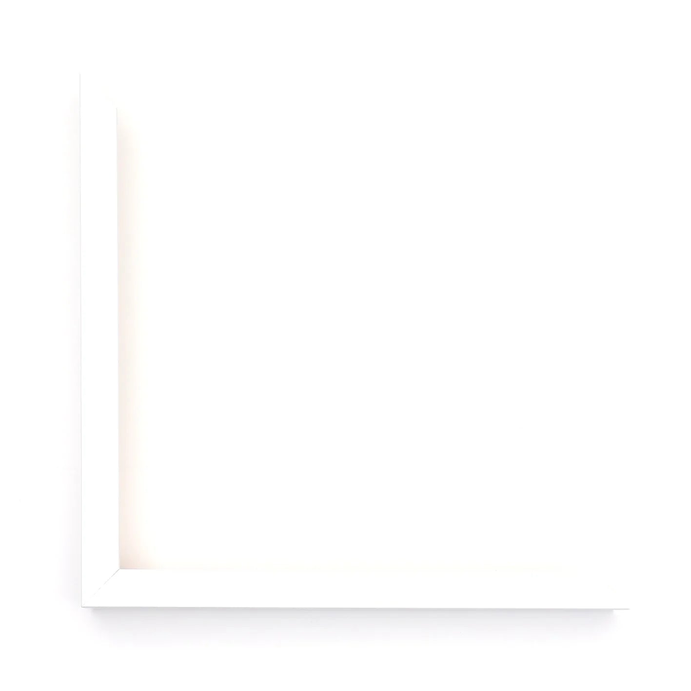 The Paint Pot Gallery - Fresh Bachelor Buttons