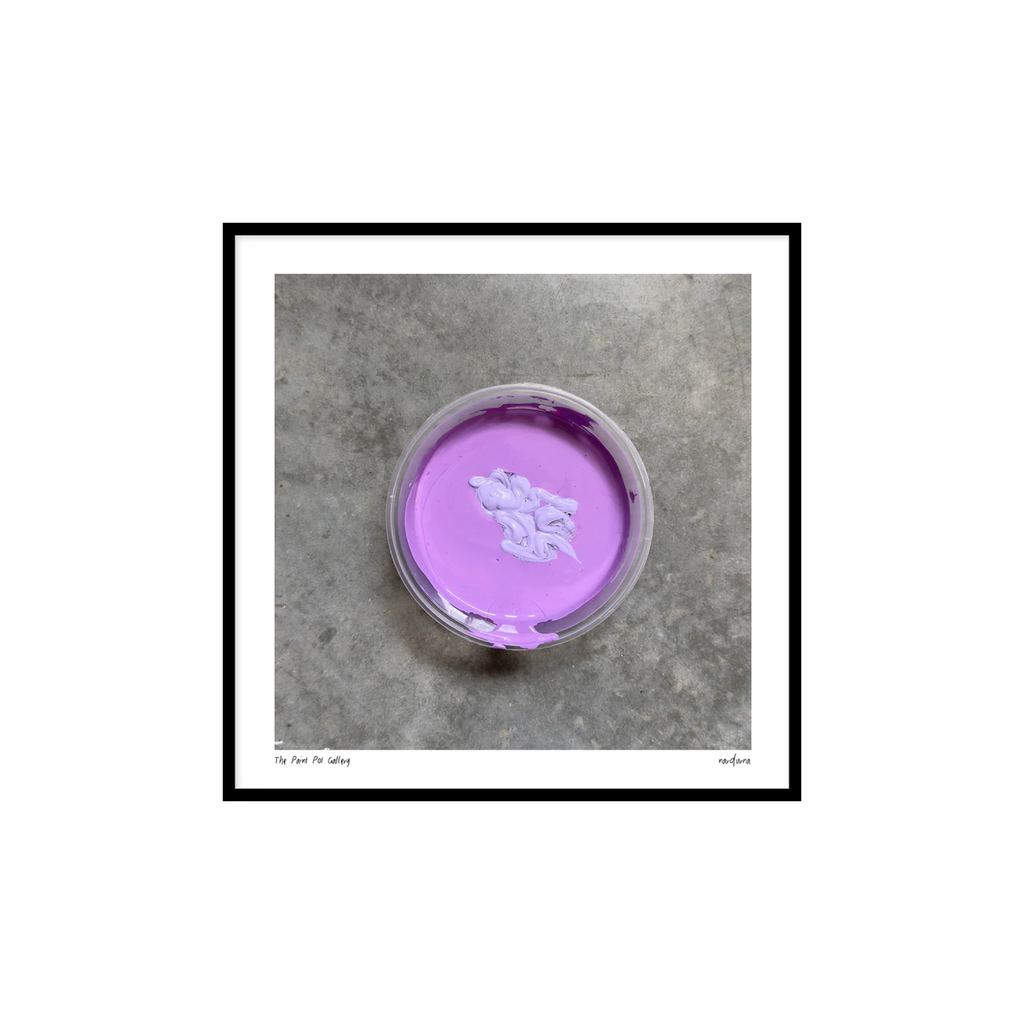 The Paint Pot Gallery - Fresh Bachelor Buttons