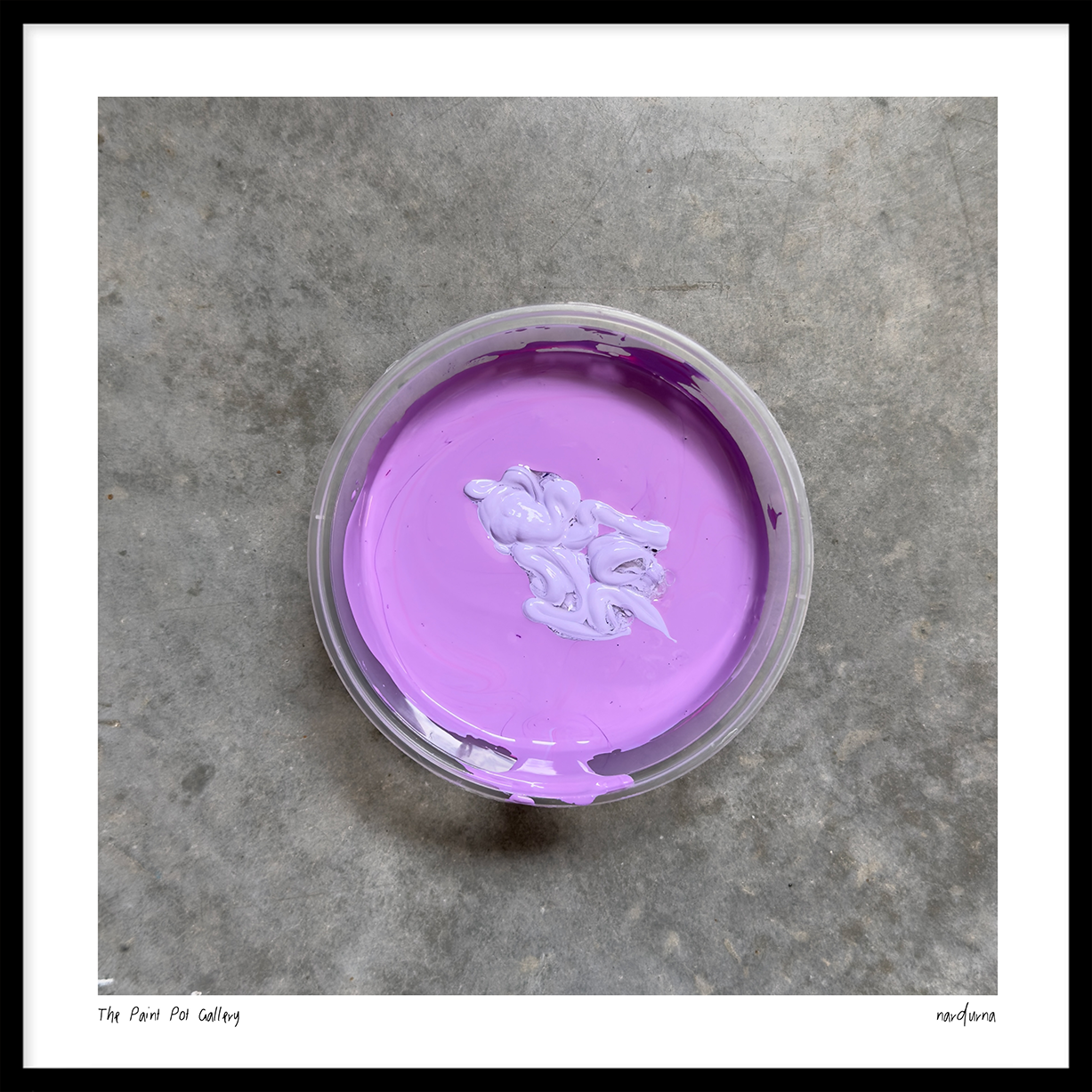 The Paint Pot Gallery - Fresh Bachelor Buttons