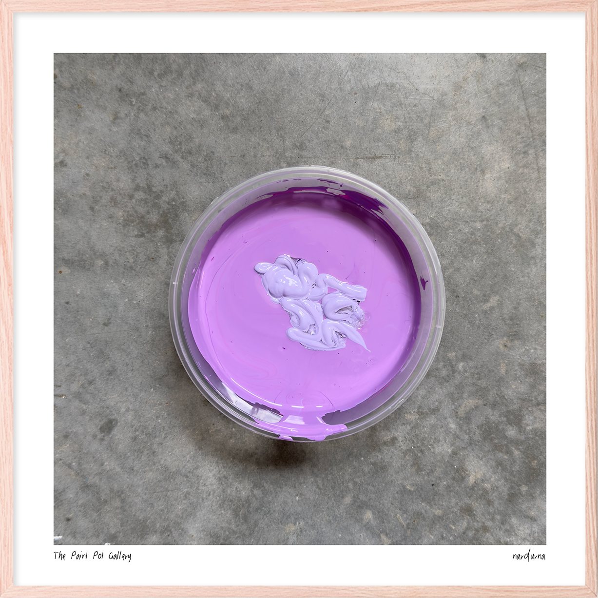 The Paint Pot Gallery - Fresh Bachelor Buttons