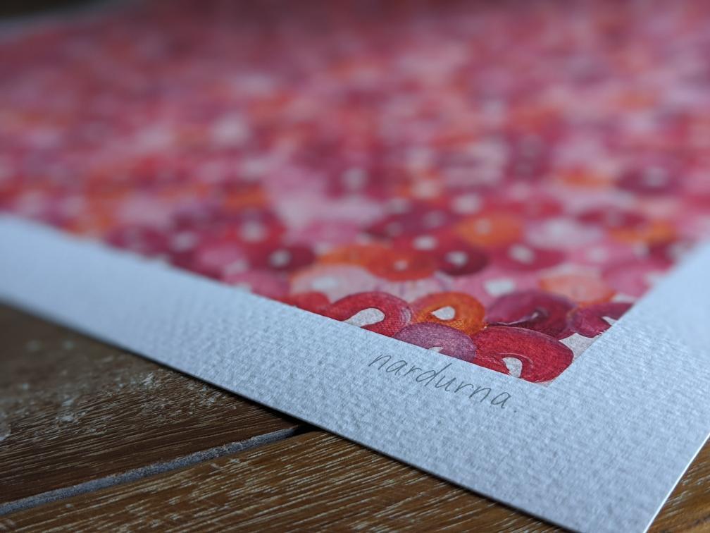 Bachelor Buttons II Art Print